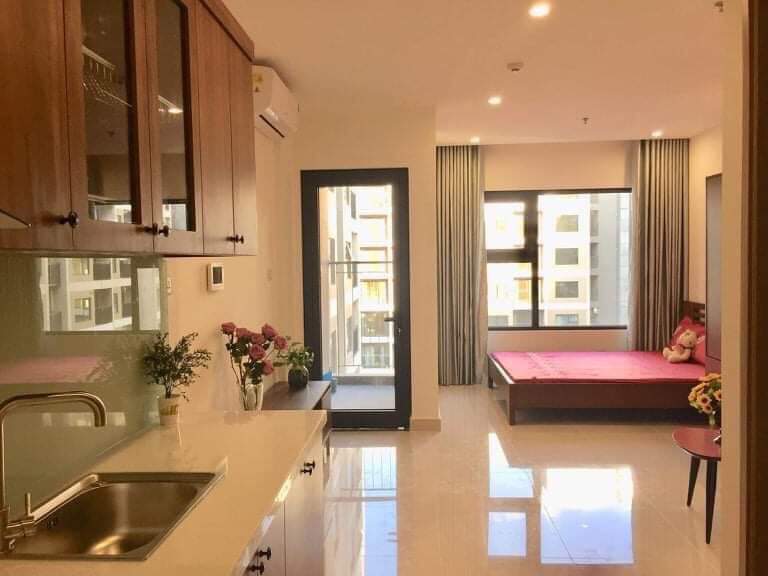 Studio 30M2 Apartment For Rent in Vinhomes Ocean Park S2.19