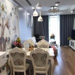 Apartment 2 bedrooms for rent with furniture at Times City Park 9